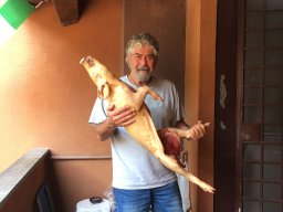 La Pievicella 1